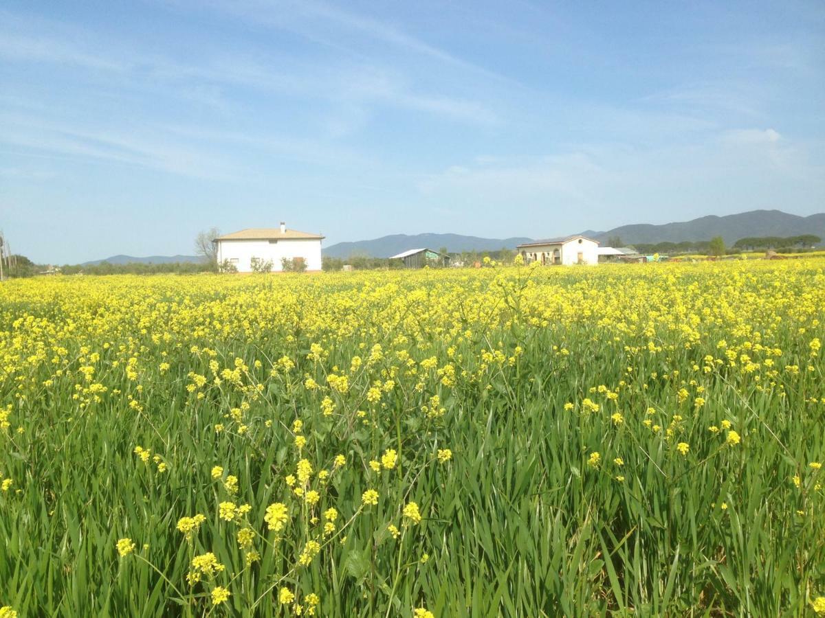 Il Grano Di Bramante Villa Marrucheto Eksteriør billede