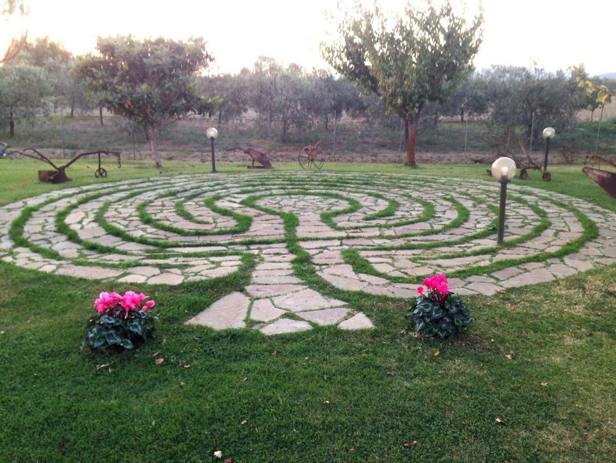 Il Grano Di Bramante Villa Marrucheto Eksteriør billede